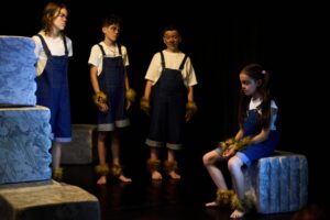 fusion teatur zara (79)